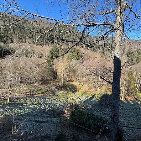 Apartamento Bombom *